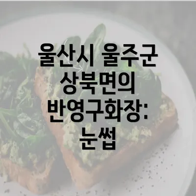 울산시 울주군 상북면의 반영구화장: 눈썹