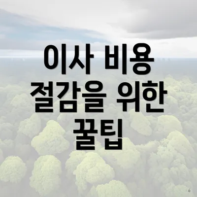 이사 비용 절감을 위한 꿀팁