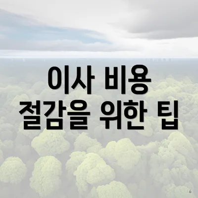 이사 비용 절감을 위한 팁