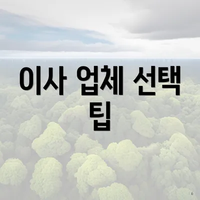 이사 업체 선택 팁