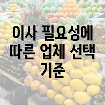 이사 필요성에 따른 업체 선택 기준