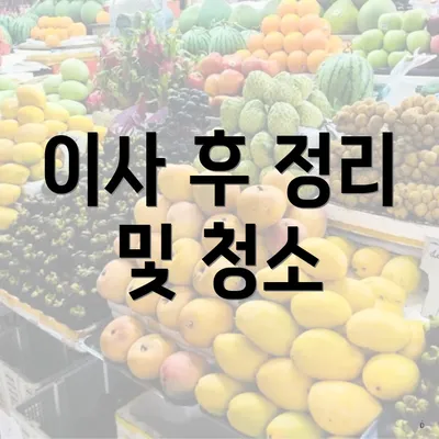 이사 후 정리 및 청소