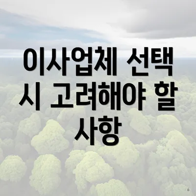 이사업체 선택 시 고려해야 할 사항