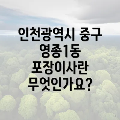 인천광역시 중구 영종1동 포장이사란 무엇인가요?