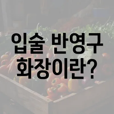 입술 반영구 화장이란?