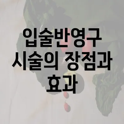 입술반영구 시술의 장점과 효과