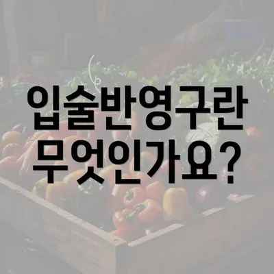 입술반영구란 무엇인가요?