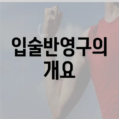 입술반영구의 개요