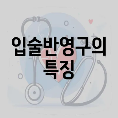 입술반영구의 특징