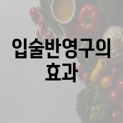 입술반영구의 효과