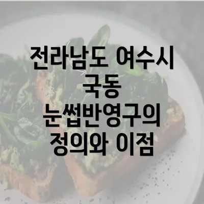 전라남도 여수시 국동 눈썹반영구의 정의와 이점