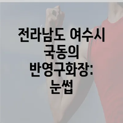 전라남도 여수시 국동의 반영구화장: 눈썹