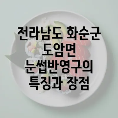 전라남도 화순군 도암면 눈썹반영구의 특징과 장점