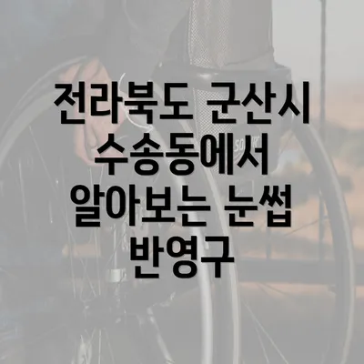 전라북도 군산시 수송동에서 알아보는 눈썹 반영구