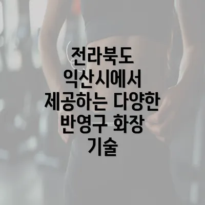 전라북도 익산시에서 제공하는 다양한 반영구 화장 기술