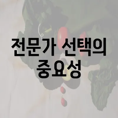 전문가 선택의 중요성