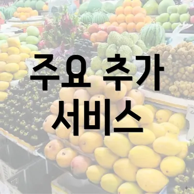 주요 추가 서비스