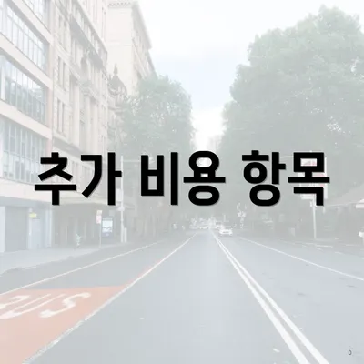 추가 비용 항목