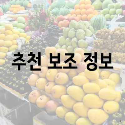 추천 보조 정보