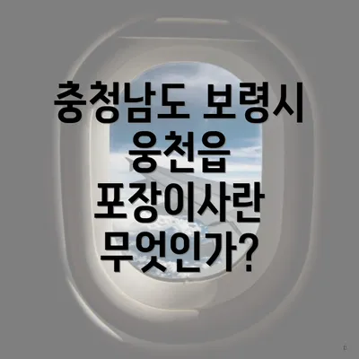 충청남도 보령시 웅천읍 포장이사란 무엇인가?