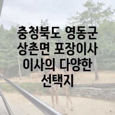 충청북도 영동군 상촌면 포장이사 이사의 다양한 선택지