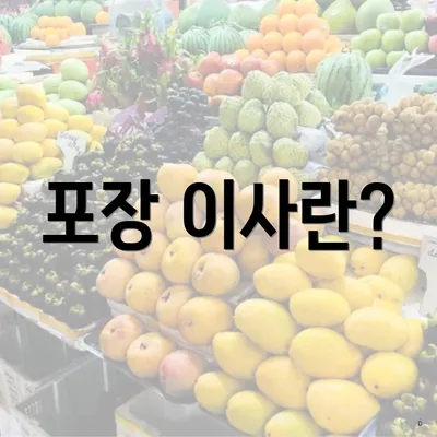 포장 이사란?