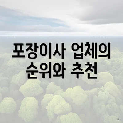 포장이사 업체의 순위와 추천