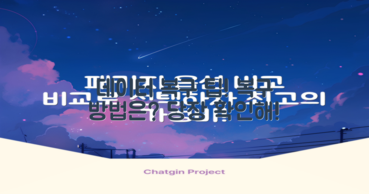 데이터 복구는 어떻게 해?
