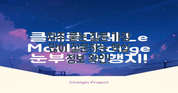 자주 묻는 질문