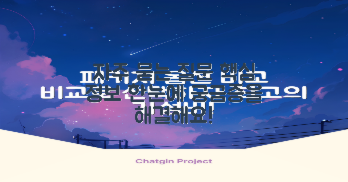 자주 묻는 질문