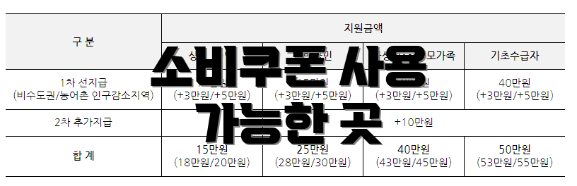 소비쿠폰 사용 가능한 곳