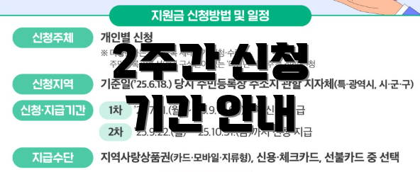 2주간 신청 기간 안내
