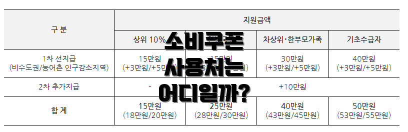 소비쿠폰 사용처는 어디일까?