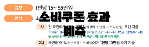 소비쿠폰 효과 예측