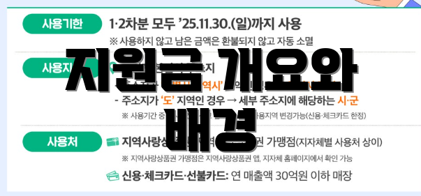 지원금 개요와 배경