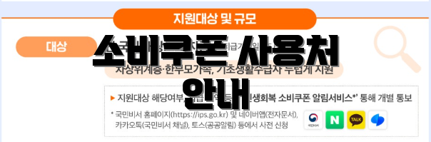 소비쿠폰 사용처 안내