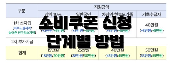 소비쿠폰 신청 단계별 방법