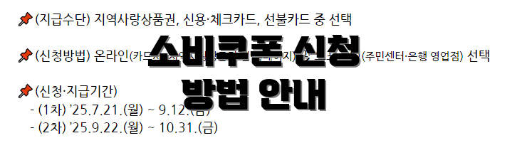 소비쿠폰 신청 방법 안내