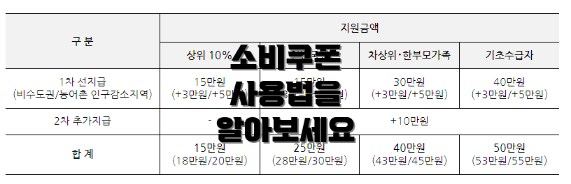 소비쿠폰 사용법을 알아보세요