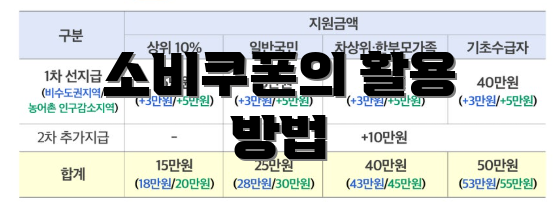 소비쿠폰의 활용 방법