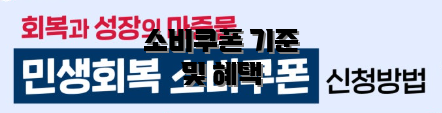 소비쿠폰 기준 및 혜택