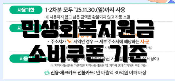 민생회복지원금 소비쿠폰 기준