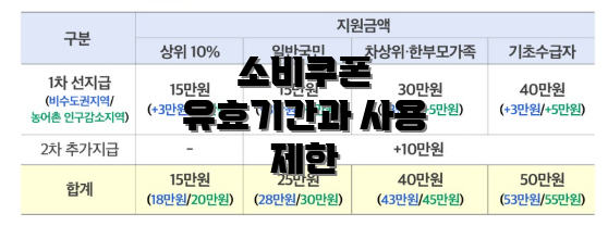 소비쿠폰 유효기간과 사용 제한