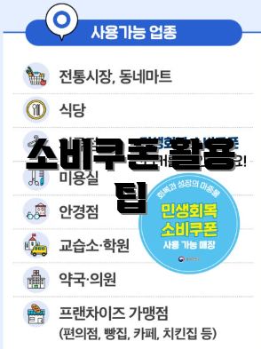 소비쿠폰 활용 팁