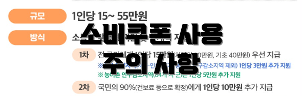 소비쿠폰 사용 주의 사항