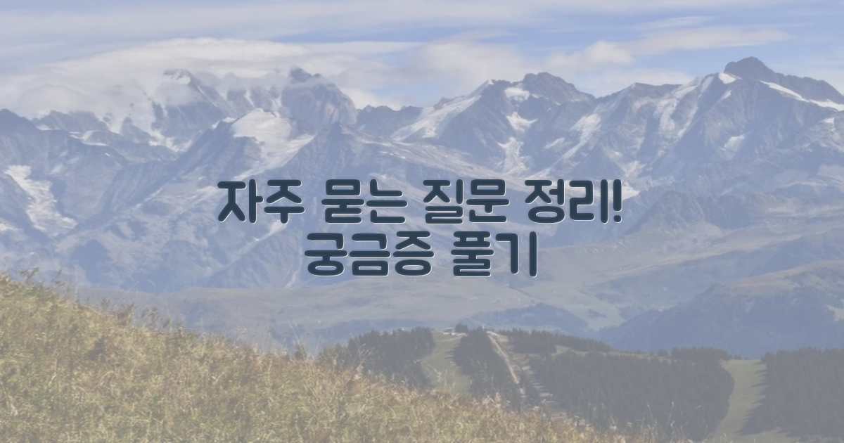 자주 묻는 질문
