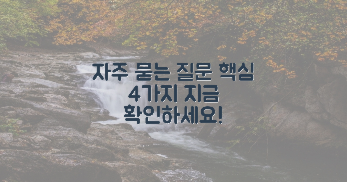 자주 묻는 질문