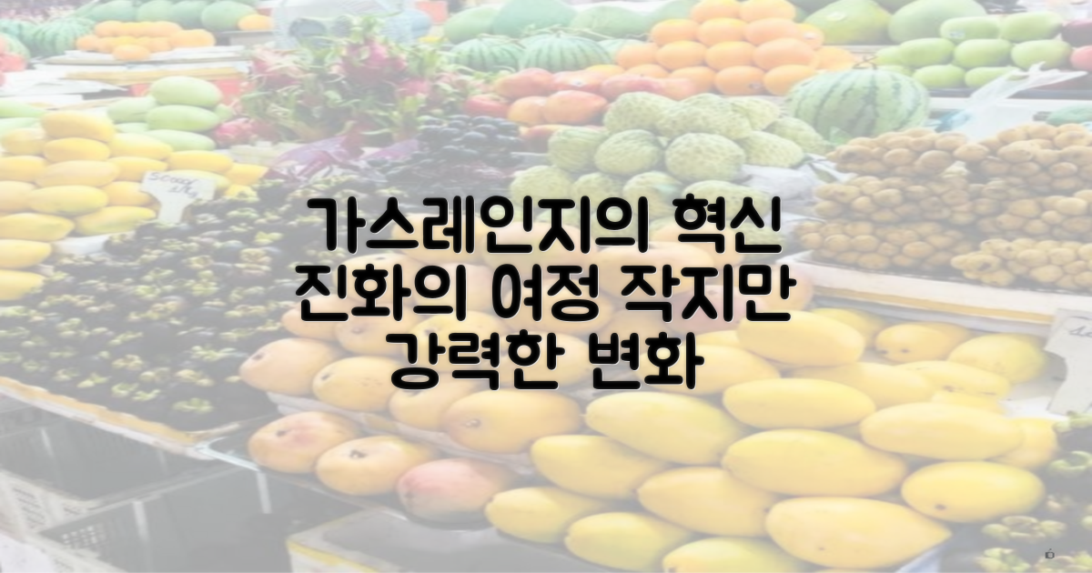 가스레인지 진화 과정