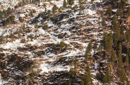 힘변형수명 포인트