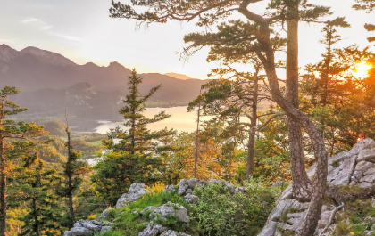 번역기 바로가기 실전 활용